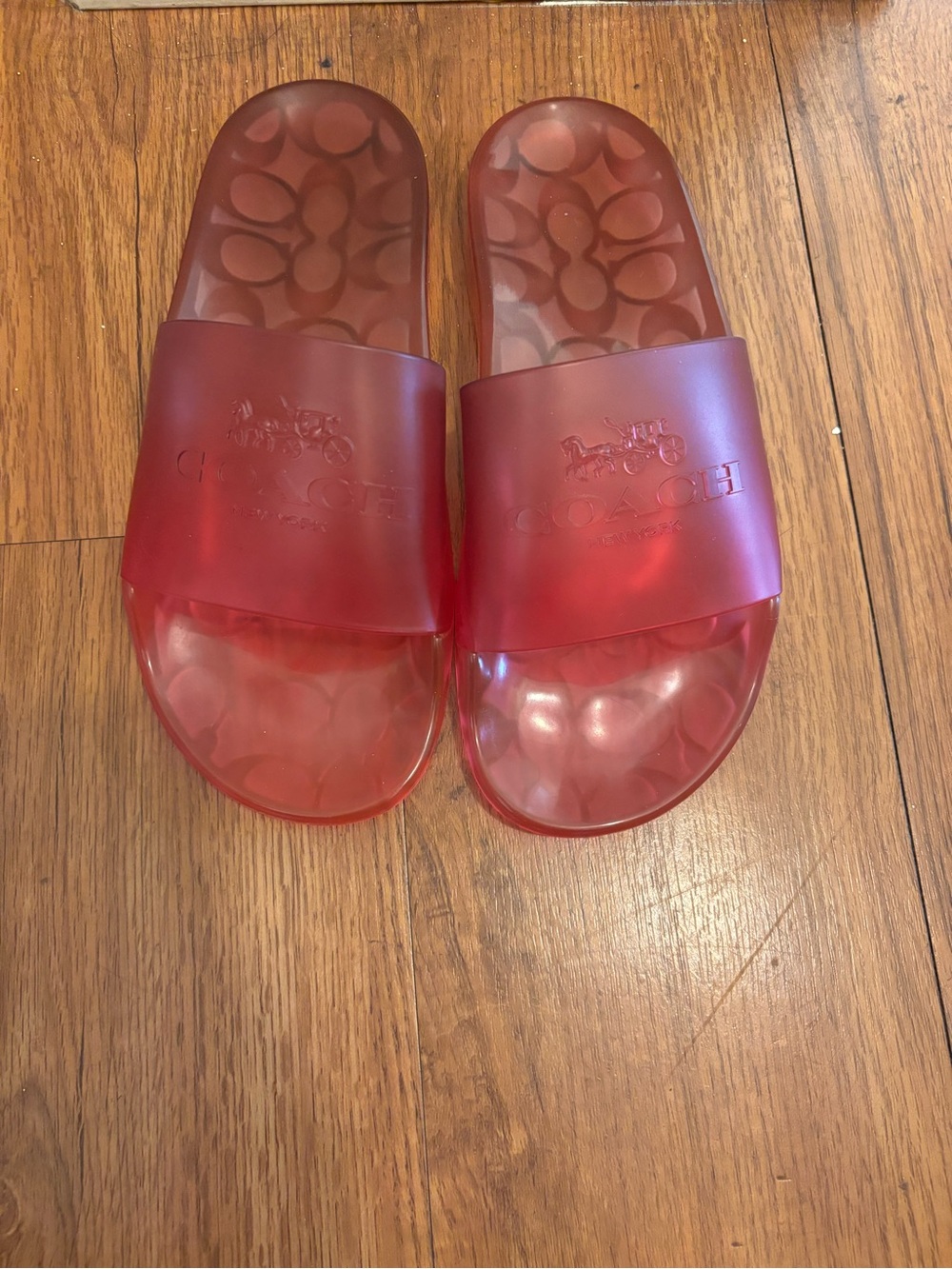 Coach Translucent Pink Jelly Slides